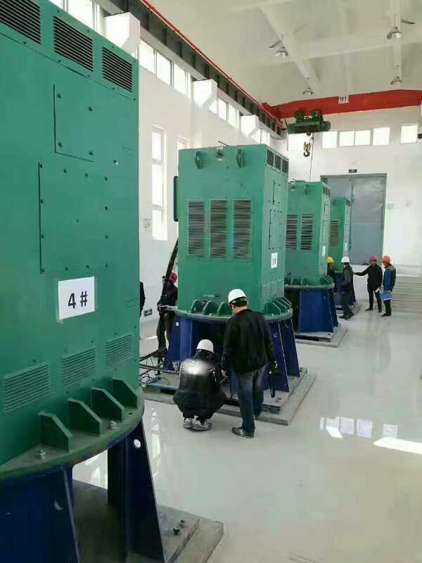 临夏县某污水处理厂使用我厂的立式高压电机安装现场